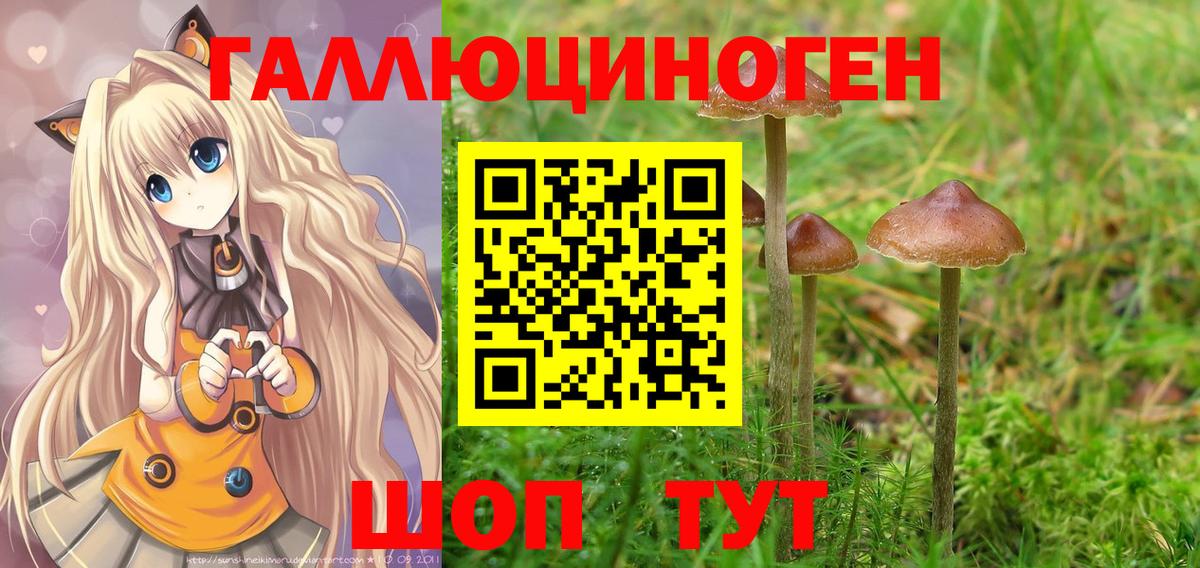 Галлюциногенные грибы прущие грибы  Вход с VPN  Серов 